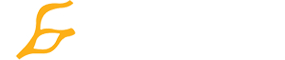 Enerskin